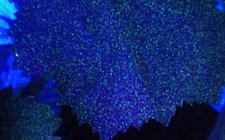 Electrostatic Agriculture Sprayer