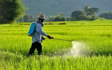 Electrostatic Agriculture Sprayer
