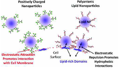 image of 8x-water-softener