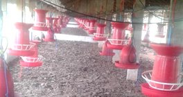 Tathastu Water Softener Image