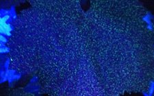 Effects of Tathastu Electrostatic Spraying System